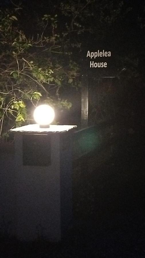 Applelea House Bed & Breakfast Rosslare Harbour Eksteriør bilde